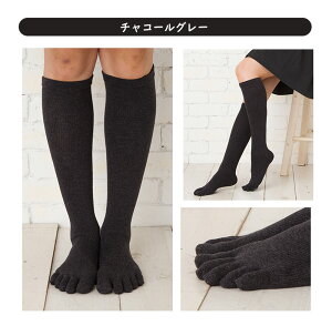 2g \bNX fB[X 5{w\bNX O Y Y y30494/8810ꏤi ȈՕł͂z nC\bNX  ނ݉ r\bNX 傫TCY  i[X\