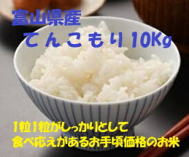 令和令和5年産富山県産てんこもり　10kg　【送料無料】