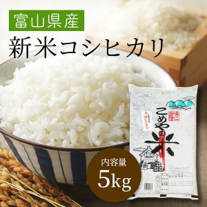 ߘa7NYxRYRVqJ@5Kg yzE