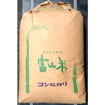 楽天市場】富山県産 こしひかり 20kgの通販