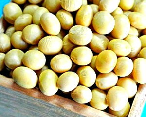 ߘa6NYxRYGC哤@10Kg@y݉izE