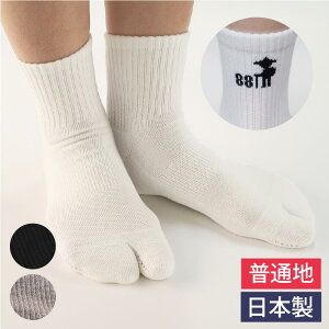 ܃\bNX fB[X ւ낽 { ʒn O[  S3F 23-25cm C  2{w O\h jO 