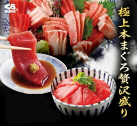 楽天市場 くら寿司の通販