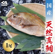 くら寿司 国産真鯛 (200g／150g) 下処理済み