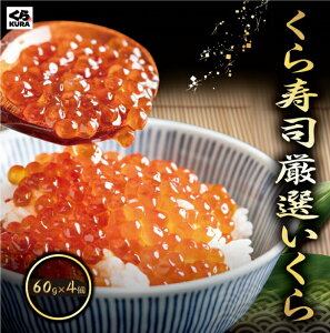 yyVX[p[SALEzy60g×2 10OFFzi I ݖЂ pbN 60g   炵i