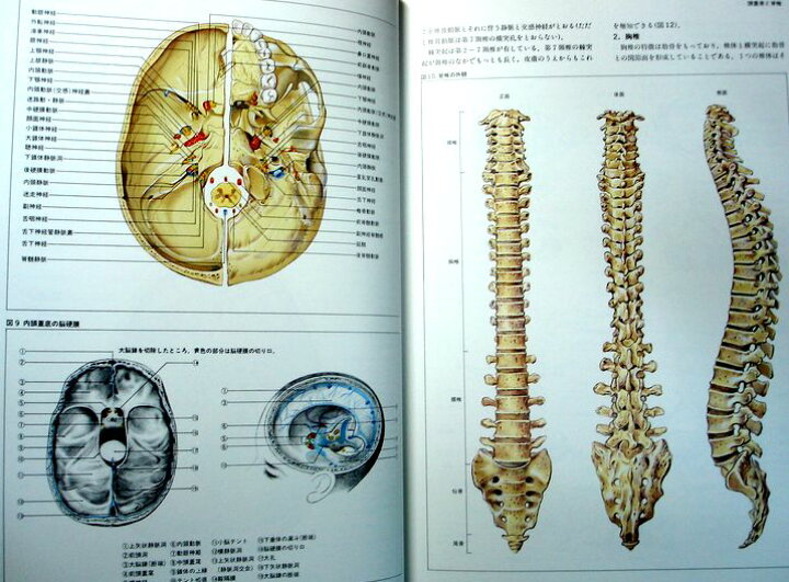 楽天市場】【中古】図説 臨床看護医学 第8巻 脳神経 : 63堂
