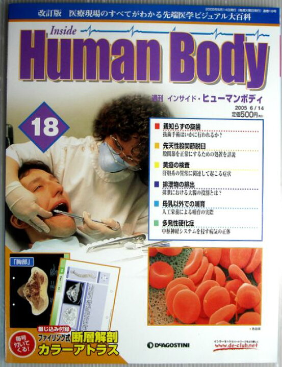 楽天市場】【中古】週刊 インサイド・ヒューマンボディ 2005年6月14日 