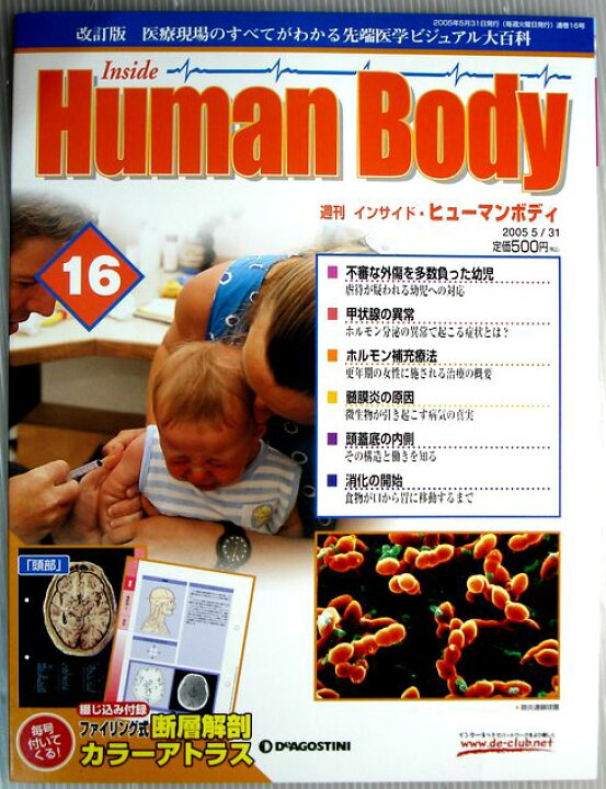 楽天市場】【中古】週刊 インサイド・ヒューマンボディ 2005年5月31日 