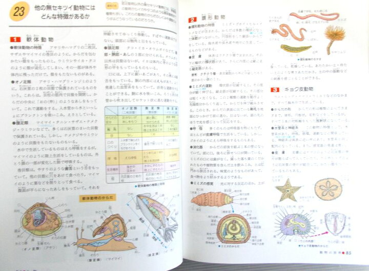 SUPER 理科事典 楽天市場】【中古】スーパー理科事典 知りたいことが 