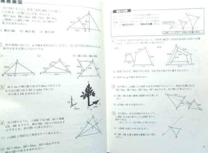 楽天市場 塾専用 中3 Step 数学 図形3 相似と円周角 テキスト ６３堂