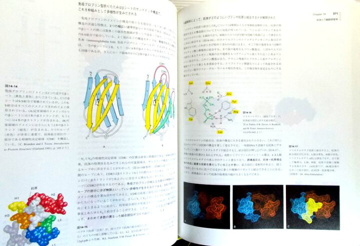 楽天市場】ストライヤー 生化学 第4版 : 63堂