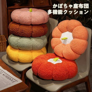 zc@NbV@@CeA@G݁@ʂ݁@ڂ@X@j@v[g45cm