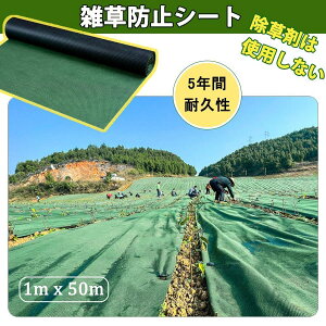 hV[gV[g 10Nϋv x  sDz G h~V[g  