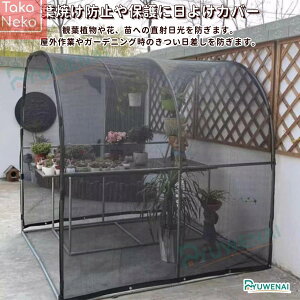 悯x_ VF[h ATVF[h Ռlbg rj[nEX K[f