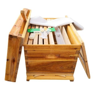  {I{IIȊ ~co` ZbgI7/ 10t[ ȊƓ IL[p[ ݂΂ ϋv̂