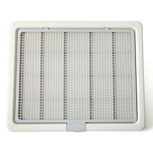 gCg[  ybggC X[p[Ch  gC t`ꂵɂ g[jO