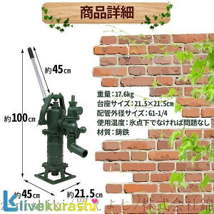 ˗p|v 蓮 艟 łݎ ˃|v  ː|v 蓮 艟|v  p  ō |v