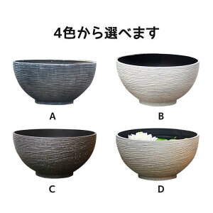  @ ^ O _J  vX`bN̖͑ @ y ɂ  _J A  r  vX