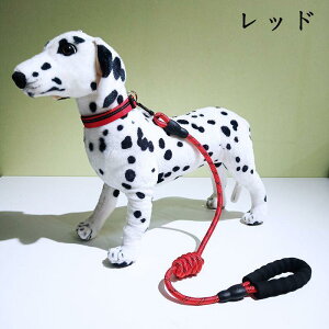  ̎ [ht L ߉\ Lp  p U v  S S ɂȂ y qL ybgpi 