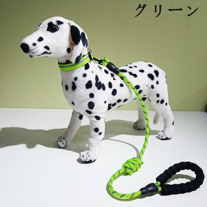  ̎ [ht L ߉\ Lp  p U v  S S ɂȂ y qL ybgpi 