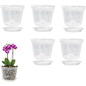 5PCS I[Lbh|bg  ƃ\[T[t Ӓ̐Aؔ 14X10.5Cm I[Lbh|bg c|bg