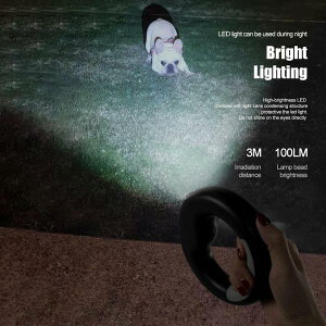 bNubN̏^/^pLEDCgti[p[h