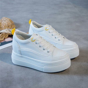 H V Xj[J[ RC [XAbv zCg  [Jbg Cq[ 傫TCY TCY  r ₷ V[Y