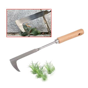 nhGuV ԎG ԂɐłȎG菜J͂ߖ񂷂 蓹 G uV G  