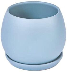 Aؔ 픫    󂯎Mt  v^[ A ϗtA ꌊ k   CeA (S(10CM) sN)