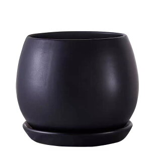 Aؔ 픫    󂯎Mt  v^[ A ϗtA ꌊ k   CeA (M(13.5CM))