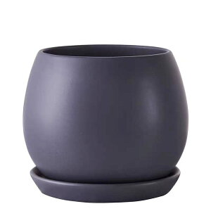 Aؔ 픫    󂯎Mt  v^[ A ϗtA ꌊ k   CeA (M(13.5CM))