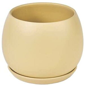 Aؔ 픫    󂯎Mt  v^[ A ϗtA ꌊ k   CeA (M(13.5CM))