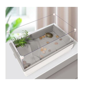 T̐ 傫 J   Tp ঒ P[X ޗp{bNX Jn e T̊y t rE Ki GT