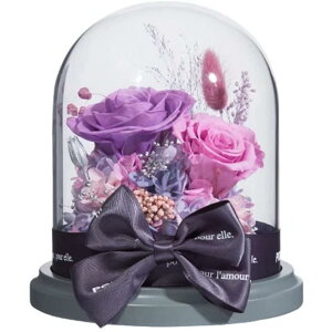 hCt[ vU[uht[ Mtg bsOς KN  t[AW o uU[ht[ {bNX ͂Ȃ