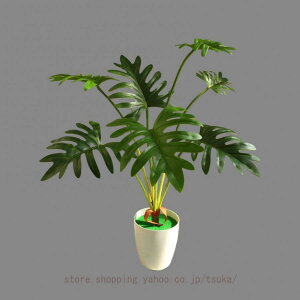 NYC ϗtA tFCN O[ lHϗtA ^  ze [ j JXj JƏj rO 傫 {