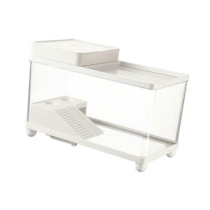 ^J Xb|AASqQgJQAqÊ߂̊঒ސn