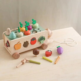 木製のマッチングおもちゃ、多機能な弾性ロープ、大根車、果物野菜の虫を捕まえる形状認識おもちゃ、子供の早期教育おもちゃ