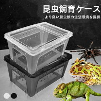 楽天市場】デュビア 飼育 ケースの通販