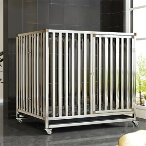 ^pP[W  T[N ybgP[W XeX| LX^[t Ċ P[W ^ pQ[W ybgnEX ` t ȒP gȒP ybgpi 