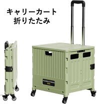 楽天市場】ピクニック キャリーカート（アウトドア｜スポーツ 