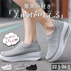  Xj[J[ fB[X V[Y jO EH[LO g[jOV[Y ^C bV N _CGbg W i[X   ₷ C Ȃ Xb| y L