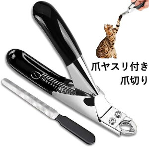  ܐ؂  ߂ ^ S L ܐ؂ L ߂ ܃Xt lCg}[ M`^Cv y RpNg S҂ SS ^Lp