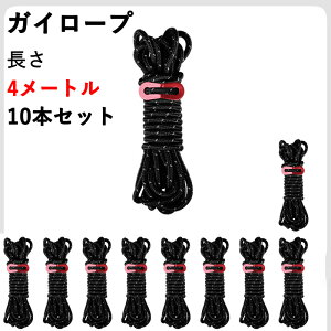 KC[v eg[v Lv [v ^[v[v pR[h 10{/Zbg 4M ߉\ ˍޓ ݋&[ܕt ω׏d350kg Lvpi eg݉c