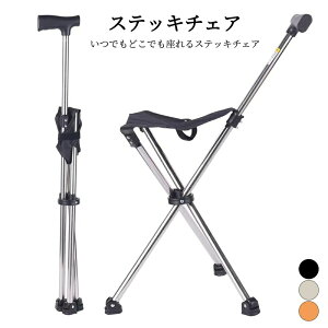 XebL`FA Or  XebL ܂ r  { ܂肽 `FA[ ^b`߉\ ֎q CX  c s⏕ XebL`FA ֎qɂȂ  V