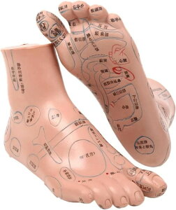  ͌^ yڃ}bT[W ̌nIɊozK } \ _CGbg c{ObY }bT[W ObY  ˋ {\L 20cm I 