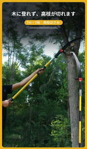 7m }؂oT~ 7iK RLk 蓮΂ ֐nt ϋv| }̂ ` |p͂