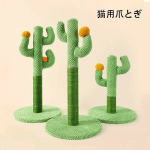 Lp܂Ƃ@ |[ T{e^ ܌ Lp  u L߂Ƃ ˂ ܂Ƃ|[ lR Lbg^[ ybgp  ܖ XgX Lpi LJtF 킢 ڂĂ 