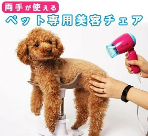 ^ e`FA ybg   Ck ܐ؂ ܂ ߂ ߐ؂ Vv[ hC[