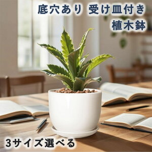 Aؔ ϗtA  픫    v^[ A zCg ϗtA 󂯎Mt  ꌊ k   CeA zCg 