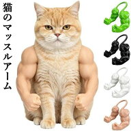 猫のマッスルアーム 3Dプリント おもしろい軽量小道具 ネコマッチョ ハロウィン おもしろ猫服の筋肉 猫の…